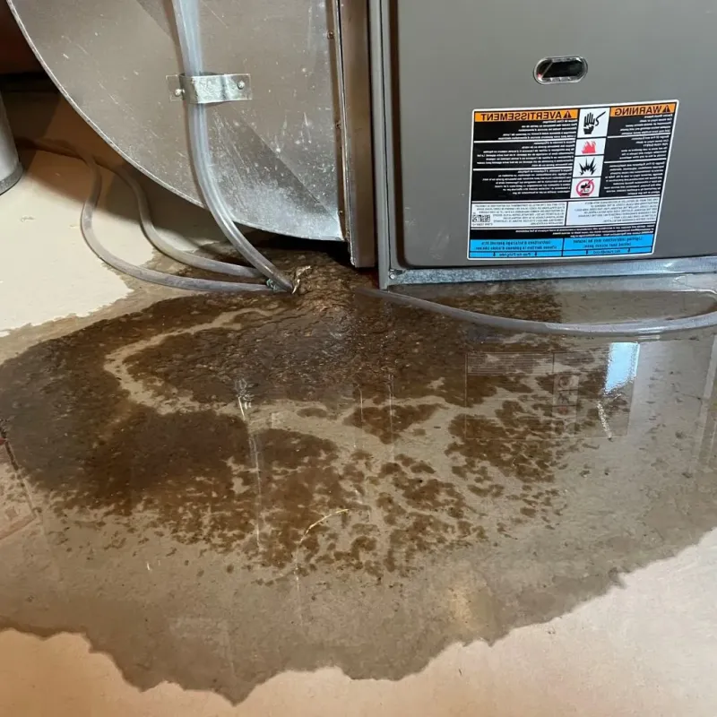 Pipe Burst and Leak Restoration in Poland, ME