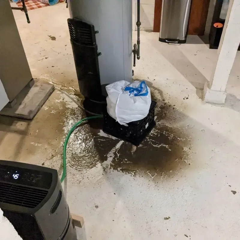 Sewage Backup Cleanup Service in Poland, ME